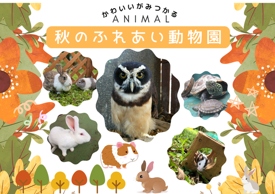 秋のふれあい動物園